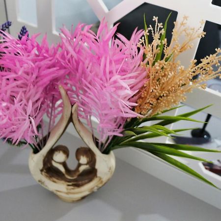 Cozy Flowers Studio - Fast Wi-Fi & Washer-Dryer Braşov Dış mekan fotoğraf