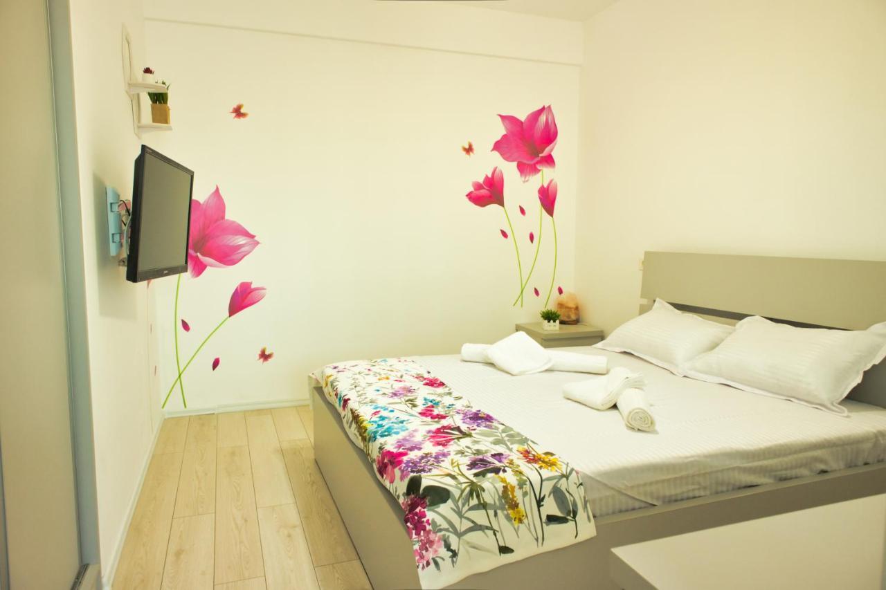 Cozy Flowers Studio - Fast Wi-Fi & Washer-Dryer Braşov Dış mekan fotoğraf