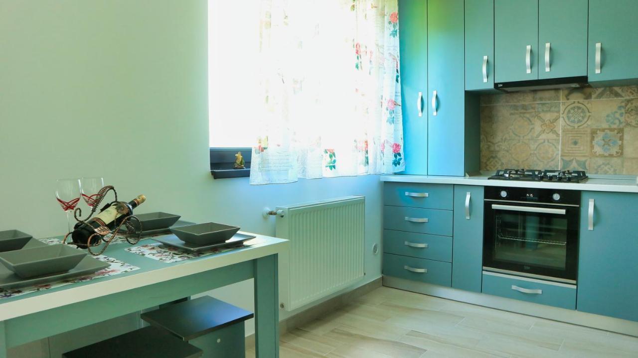 Cozy Flowers Studio - Fast Wi-Fi & Washer-Dryer Braşov Dış mekan fotoğraf